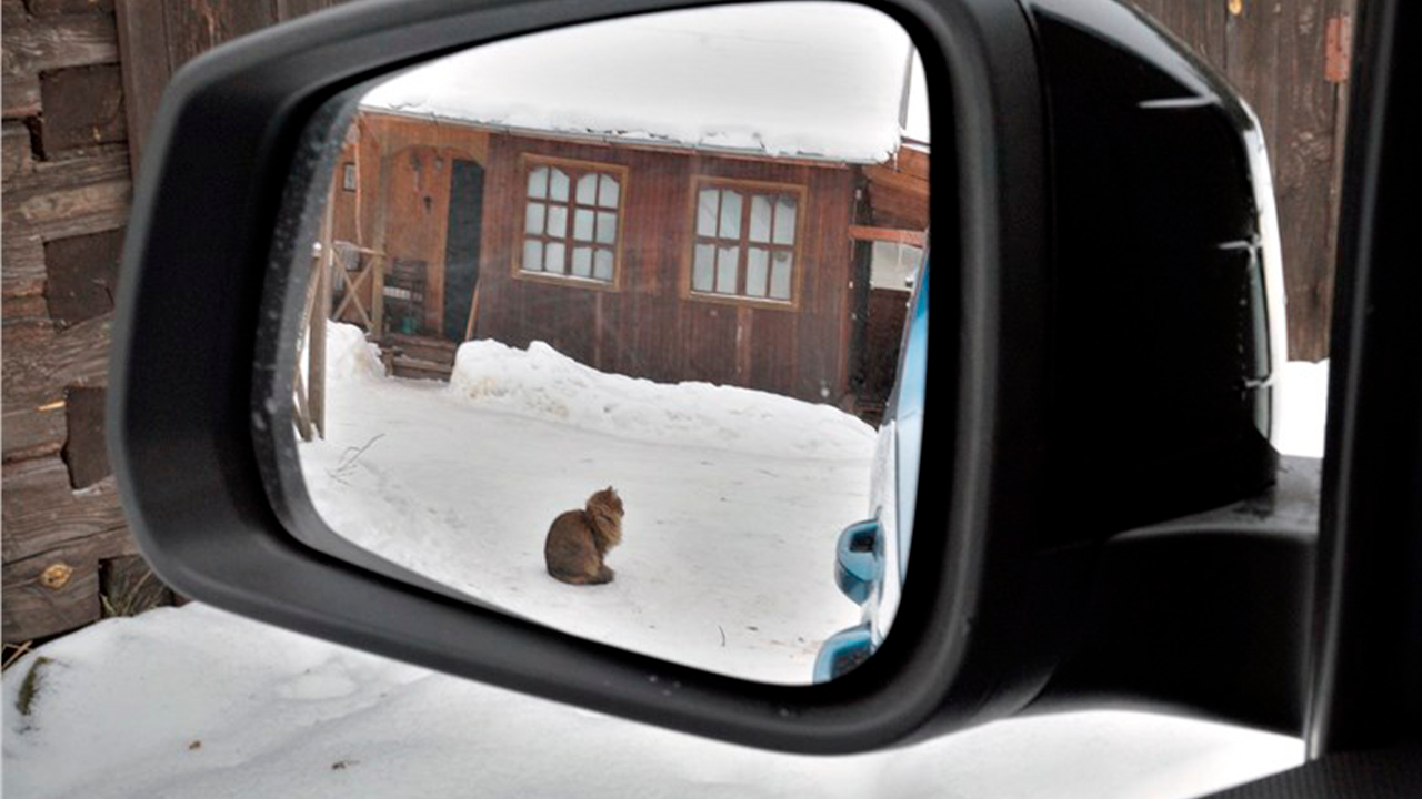 Боковые зеркала