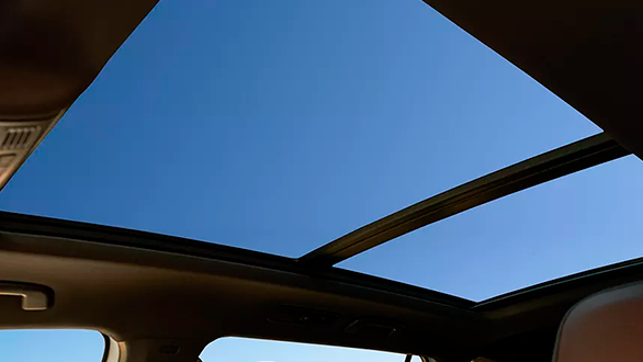 Фото панорамный вид volkswagen Tiguan